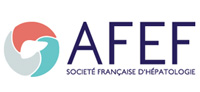 Logo AFEF